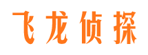 岳池侦探